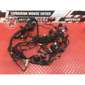 Faisceau électrique principale Ducati 1200 Monster 2014 à 2016
