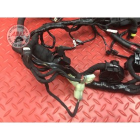 Faisceau électrique principale 