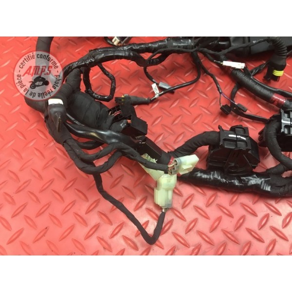 Faisceau électrique principale Ducati 1200 Monster 2014 à 2016