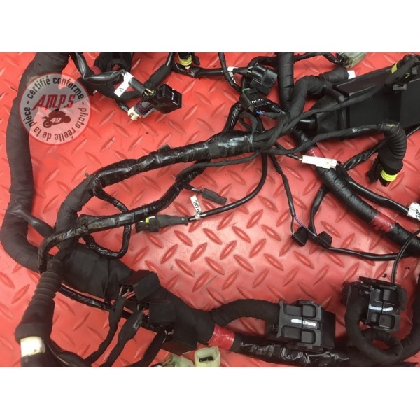 Faisceau électrique principale Ducati 1200 Monster 2014 à 2016