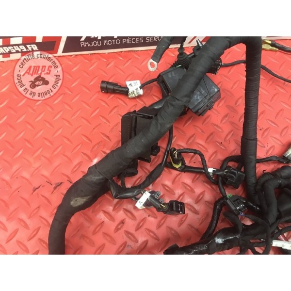Faisceau électrique principale Ducati 1200 Monster 2014 à 2016
