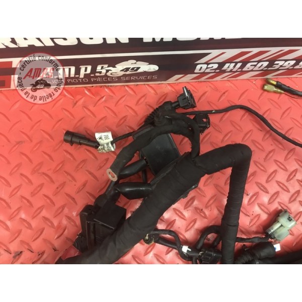 Faisceau électrique principale Ducati 1200 Monster 2014 à 2016