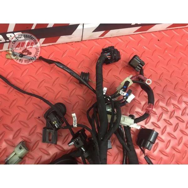 Faisceau électrique principale Ducati 1200 Monster 2014 à 2016