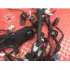 Faisceau électrique principale Ducati 1200 Monster 2014 à 2016