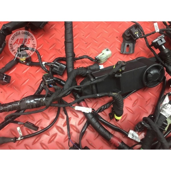 Faisceau électrique principale Ducati 1200 Monster 2014 à 2016