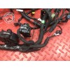 Faisceau électrique principale Ducati 1200 Monster 2014 à 2016