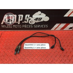 Sonde lambda Ducati 1200 Monster 2014 à 2016