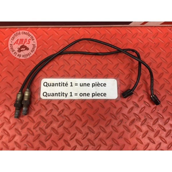 Sonde lambda Ducati 1200 Monster 2014 à 2016