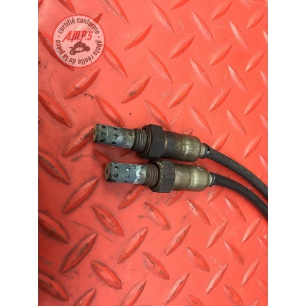 Sonde lambda Ducati 1200 Monster 2014 à 2016