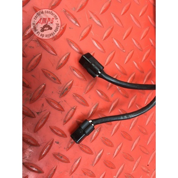 Sonde lambda Ducati 1200 Monster 2014 à 2016