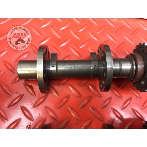 Culasse avec arbre a came arriere Ducati 1200 Monster 2014 à 2016