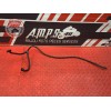 Durite reservoir Ducati 1200 Monster 2014 à 2016