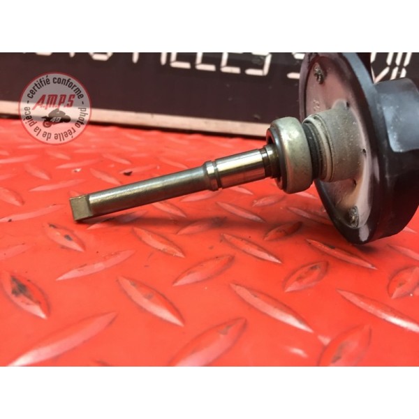 Helice de pompe a eau Ducati 1200 Monster 2014 à 2016