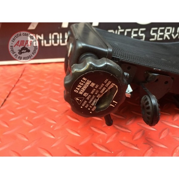 Radiateur d'eau Ducati 1200 Monster 2014 à 2016
