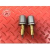 Paire d'embout de guidon Ducati 1200 Monster 2014 à 2016