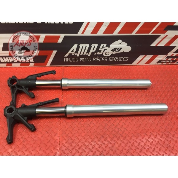 Paire de tube de fourche Ducati 1200 Monster 2014 à 2016
