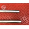 Paire de tube de fourche Ducati 1200 Monster 2014 à 2016