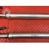 Paire de tube de fourche Ducati 1200 Monster 2014 à 2016