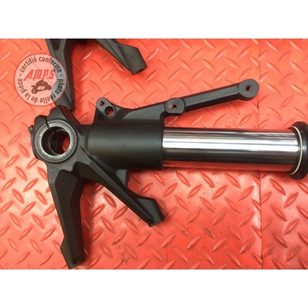 Paire de tube de fourche Ducati 1200 Monster 2014 à 2016