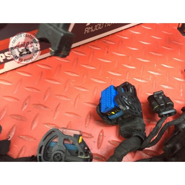 Faisceau électrique principale Ducati 848 SBK 2008 à 2013