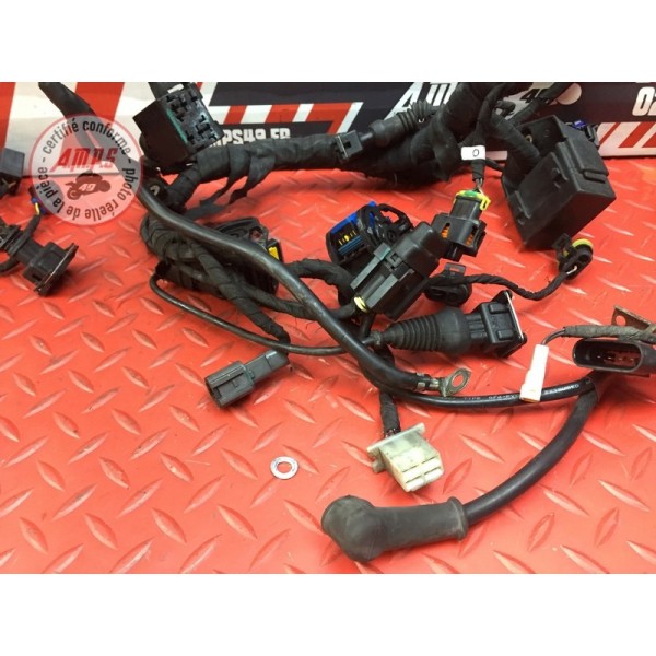 Faisceau électrique principale Ducati 848 SBK 2008 à 2013