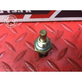 Sonde de température d'eau 