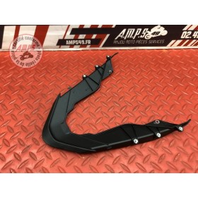 Coque arrière centrale 