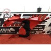 Flanc de carénage gauche Ducati Panigale V4 S 2018 2019