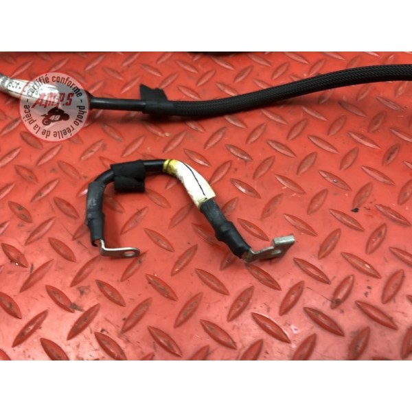 Cable de masse Ducati Panigale V4 S 2018 2019