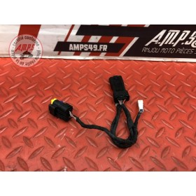 Faisceau diagnostique Ducati Panigale V4 S 2018 2019