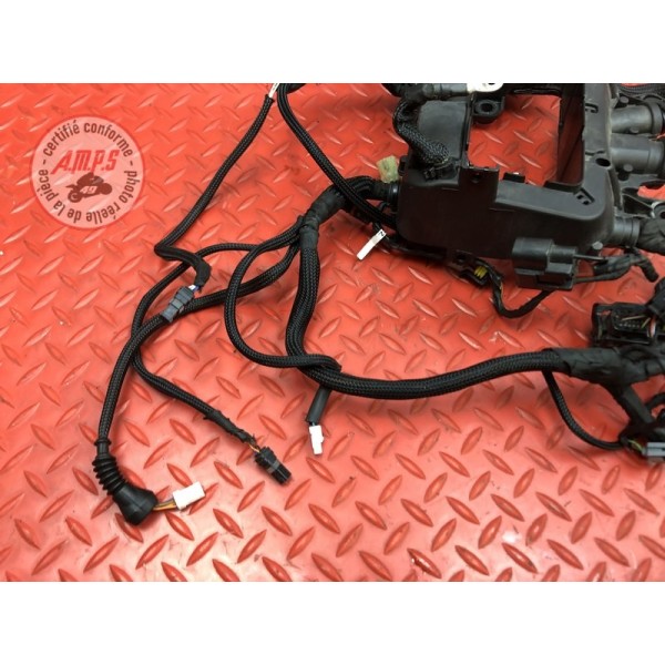 Faisceau électrique principale Ducati Panigale V4 S 2018 2019