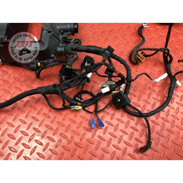 Faisceau électrique principale Ducati Panigale V4 S 2018 2019