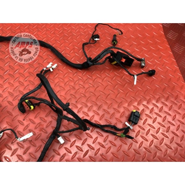 Faisceau électrique principale Ducati Panigale V4 S 2018 2019