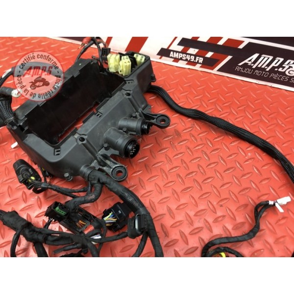 Faisceau électrique principale Ducati Panigale V4 S 2018 2019