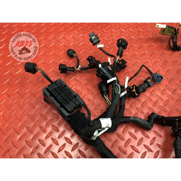 Faisceau électrique secondaire Ducati Panigale V4 S 2018 2019