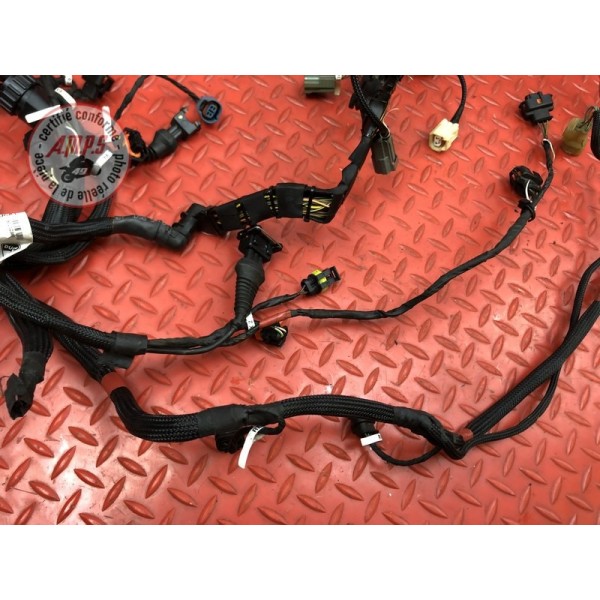 Faisceau électrique secondaire Ducati Panigale V4 S 2018 2019