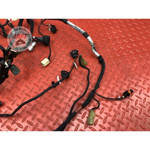 Faisceau électrique secondaire Ducati Panigale V4 S 2018 2019