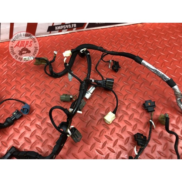 Faisceau électrique secondaire Ducati Panigale V4 S 2018 2019