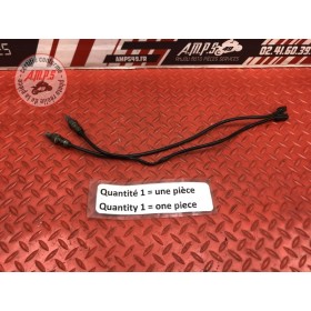 Sonde lambda Ducati Panigale V4 S 2018 2019