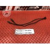 Sonde lambda Ducati Panigale V4 S 2018 2019