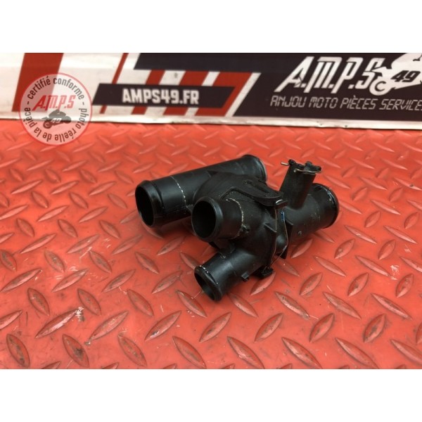 Calorstat Ducati Panigale V4 S 2018 2019