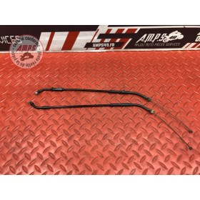Cable de valve d'échappement 
