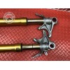 Paire de tube de fourche Ducati Panigale V4 S 2018 2019
