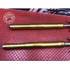 Paire de tube de fourche Ducati Panigale V4 S 2018 2019