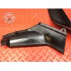 Paire de Cache intérieur de tete de fourche Yamaha R1 2000 à 2001