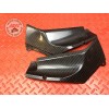 Paire de Cache intérieur de tete de fourche Yamaha R1 2000 à 2001