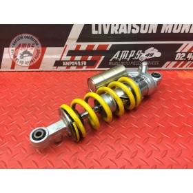 Amortisseur arrière 
