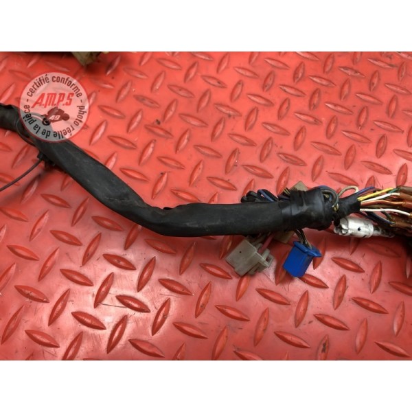 Faisceau électrique principale Yamaha R1 2000 à 2001