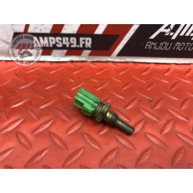 Sonde de température d'eau 