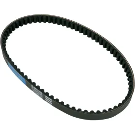 BELT TRAN 18.2X8X720